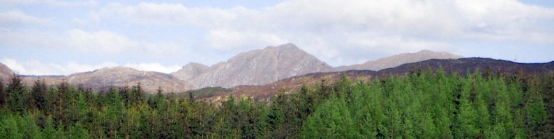 View from the cottage window.